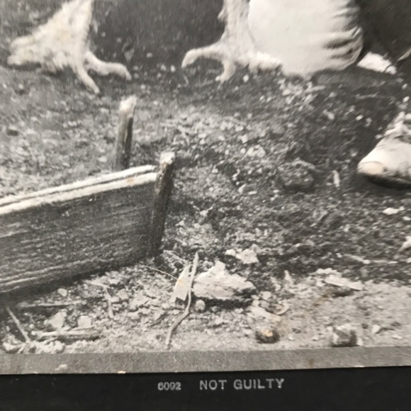 Vintage Embossed old photograph Farm Boy and Chicken with cardboard backing 2D - Picture 3 of 4